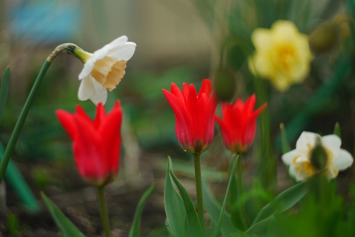   , ,  , Panasonic Lumix, , -44, 