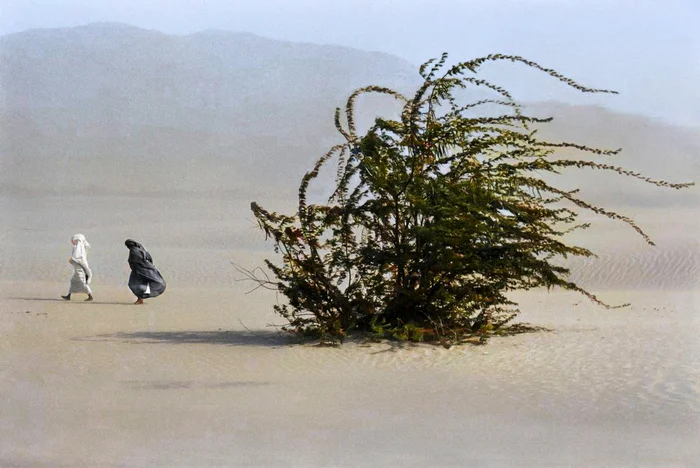 Необычные и интересные снимки из разных стран мира, сделанные в XX веке. 20 раскрашенных фотографий. Часть VII 20 век, Историческое фото, Старое фото, Фотография, Колоризация, Длиннопост