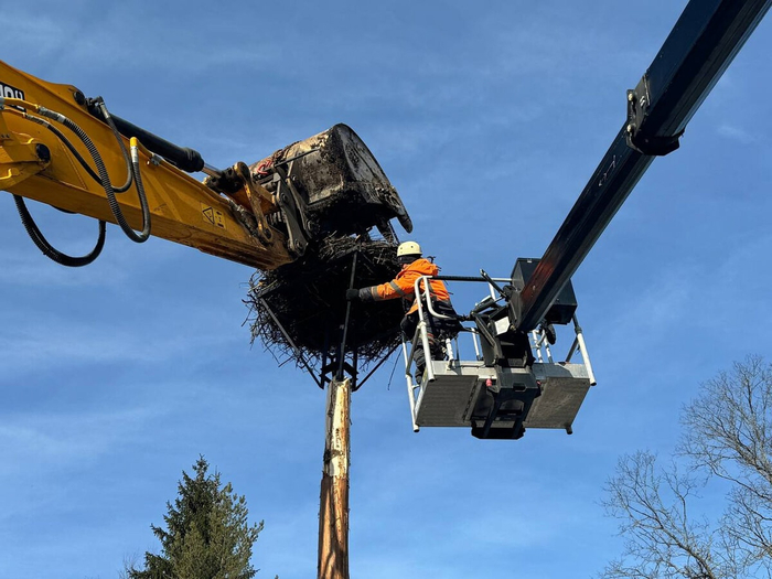 Не переживайте, гнездо не сносят, его переносят!