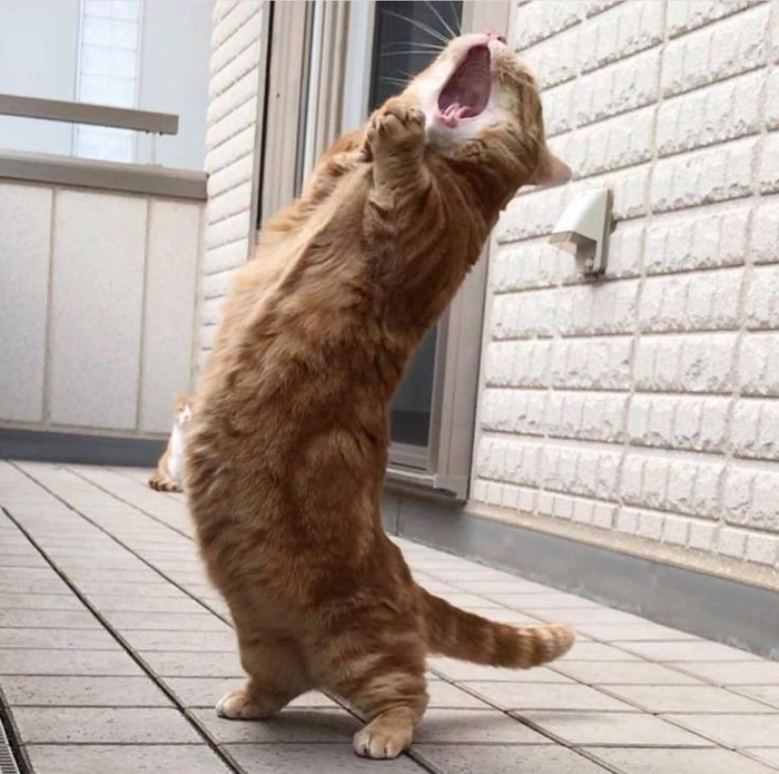  ,    ! , , , ,  , , , , , , , , , , , , , 