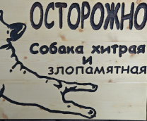 ������ ������