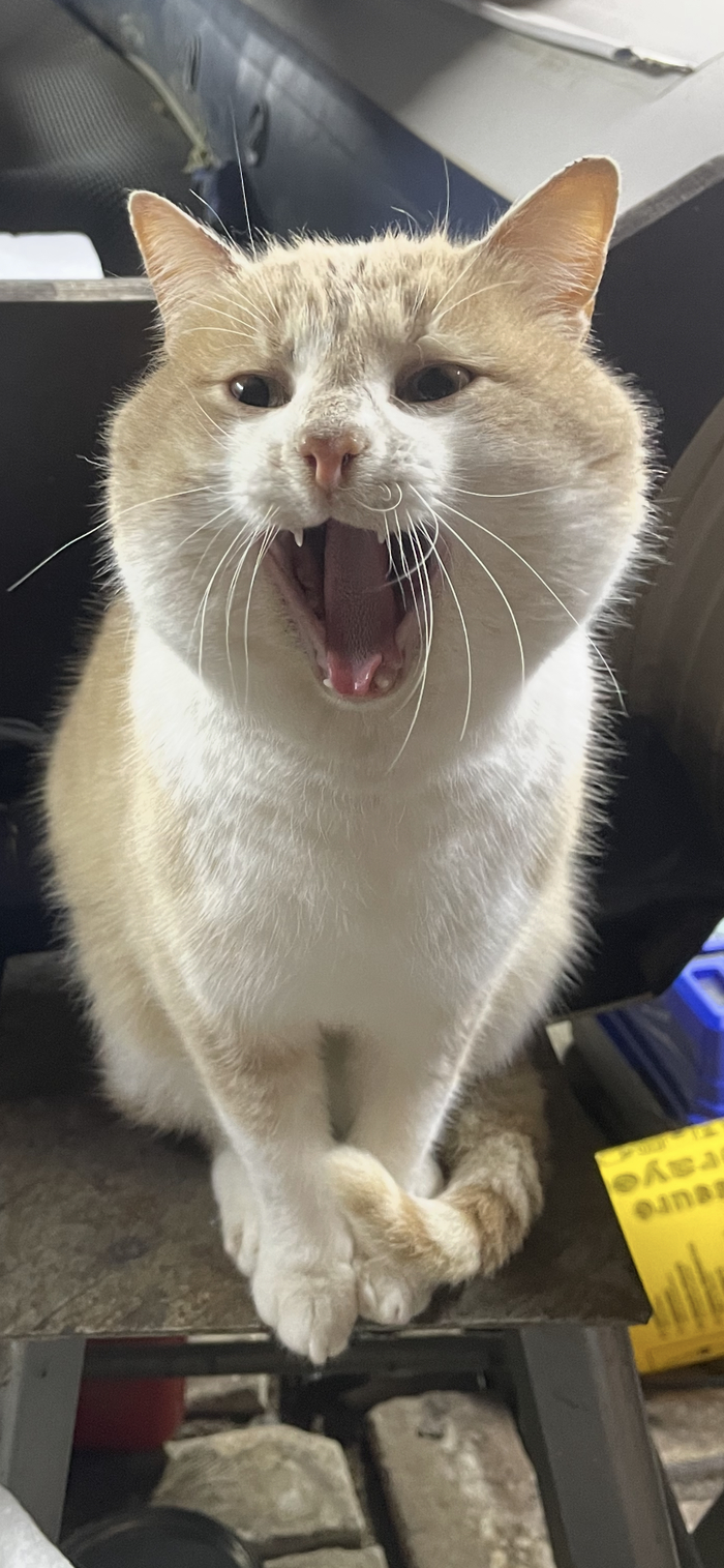 ���������! ������� ����� �� �����!