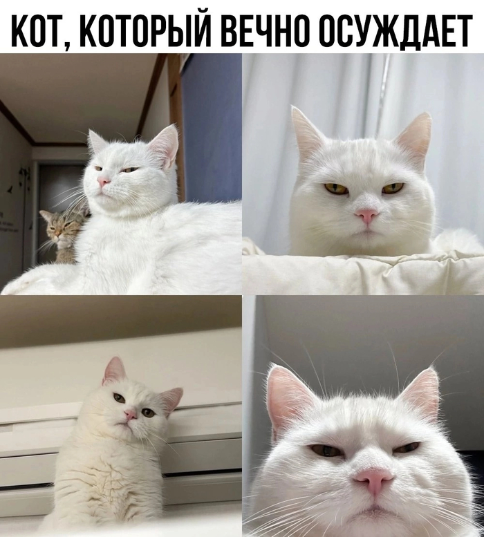     ? ,  , , , , , ,  , , 