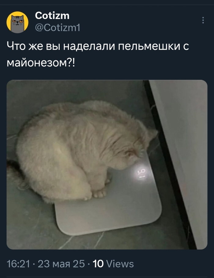*    X (Twitter), , , , ,  