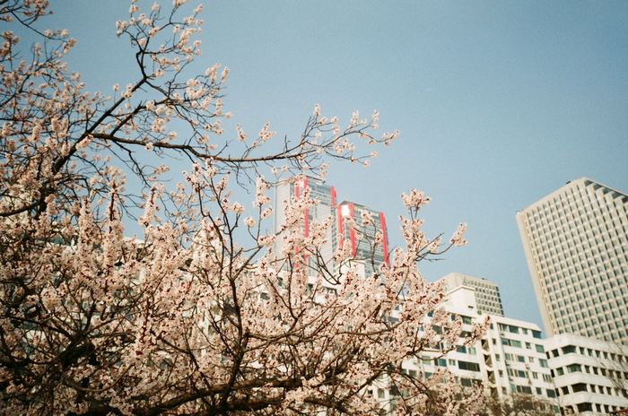 Fuji Industrial 100 (просрочка)