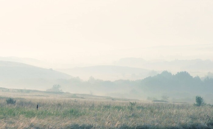 Утренний туман уходит туда, куда ему надо... (Танеда Сантока)