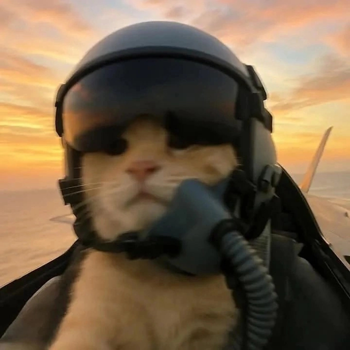    , , 