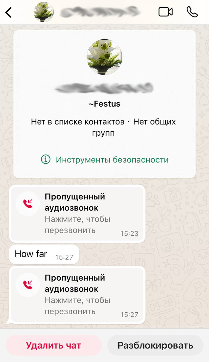   whatsapp* , -, , 