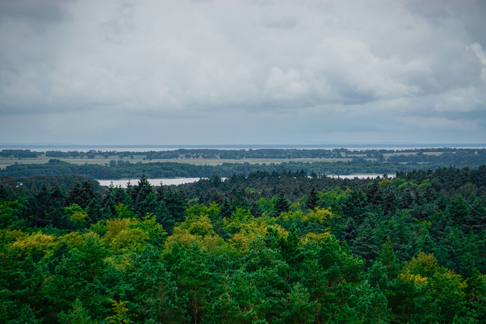  .  CC BY-SA Tina Kuper.