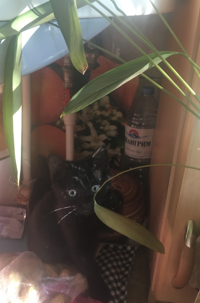   ,    ! , , ,  