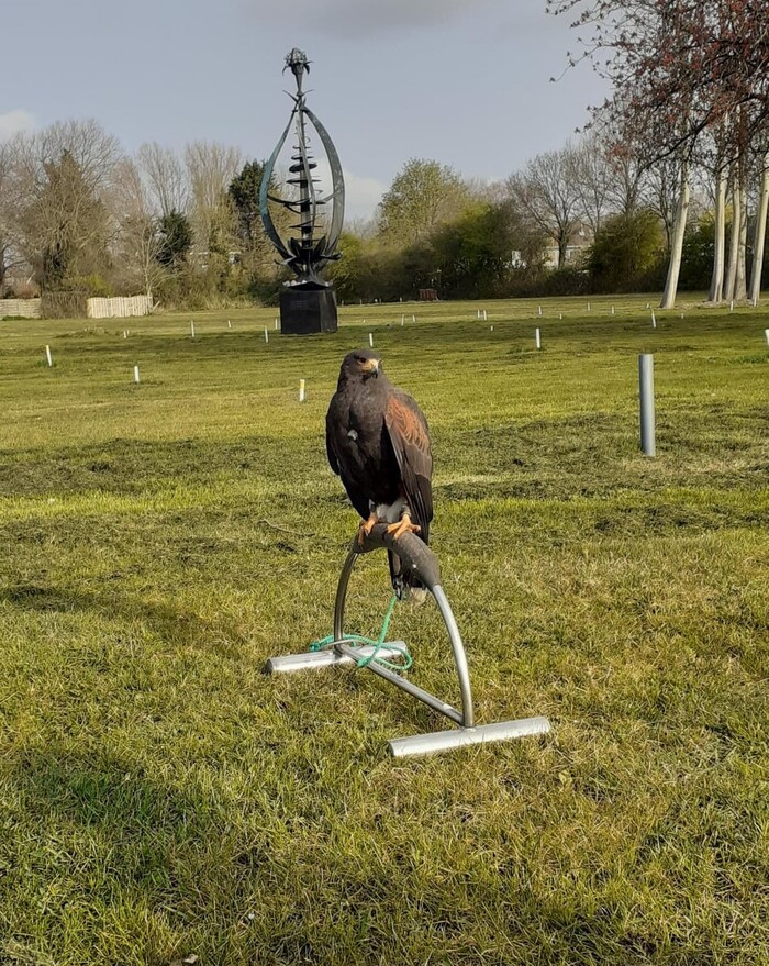    .   ,  .          .    . 