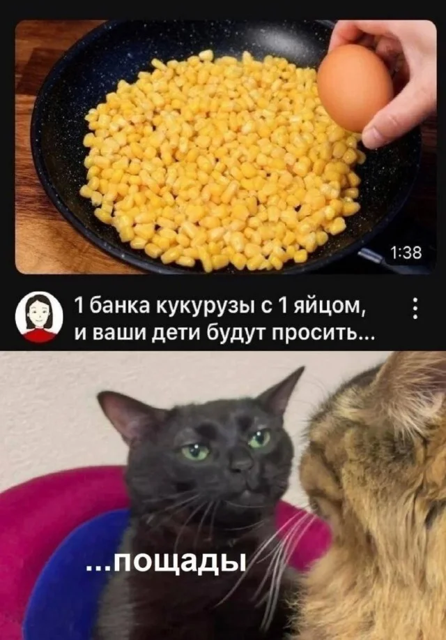zezbdduk.webp