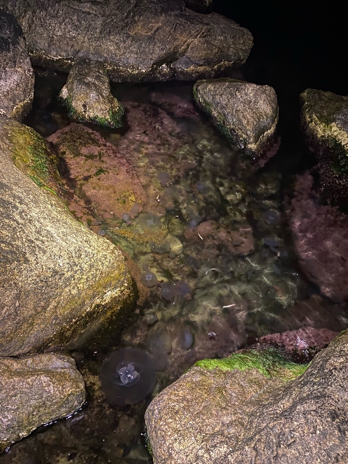 Если приглядеться, то можно обнаружить "нежелательную организацию в РФ"