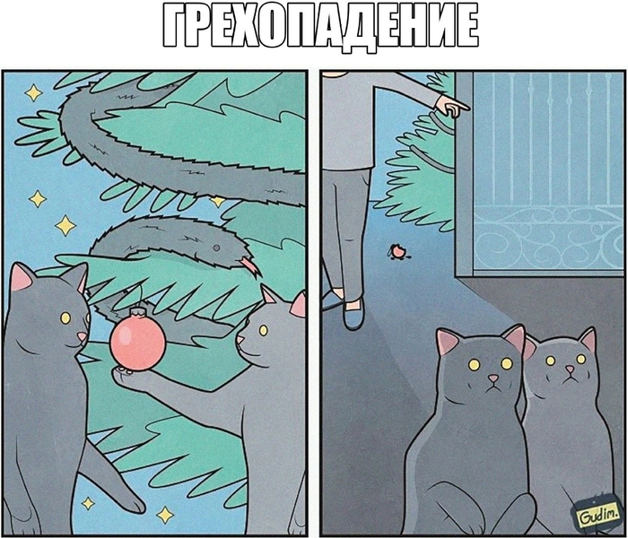  ?...