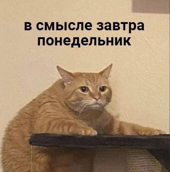 Плохие новости...