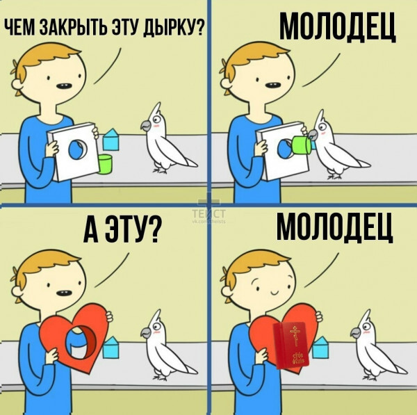 Попугай молодец