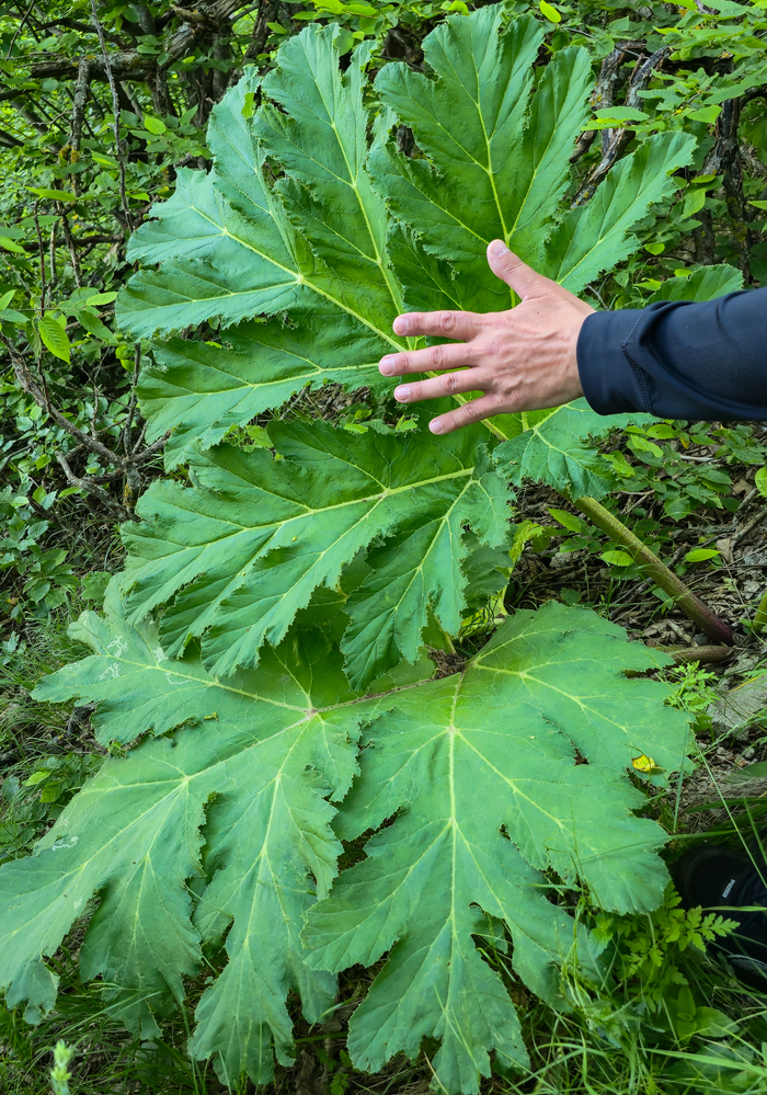  .   ,       ,  .   .