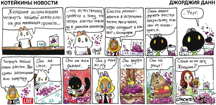 Котейкины Новости от 25.05.2025