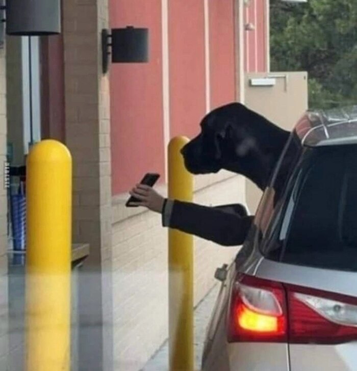 � ���� �������� ��������