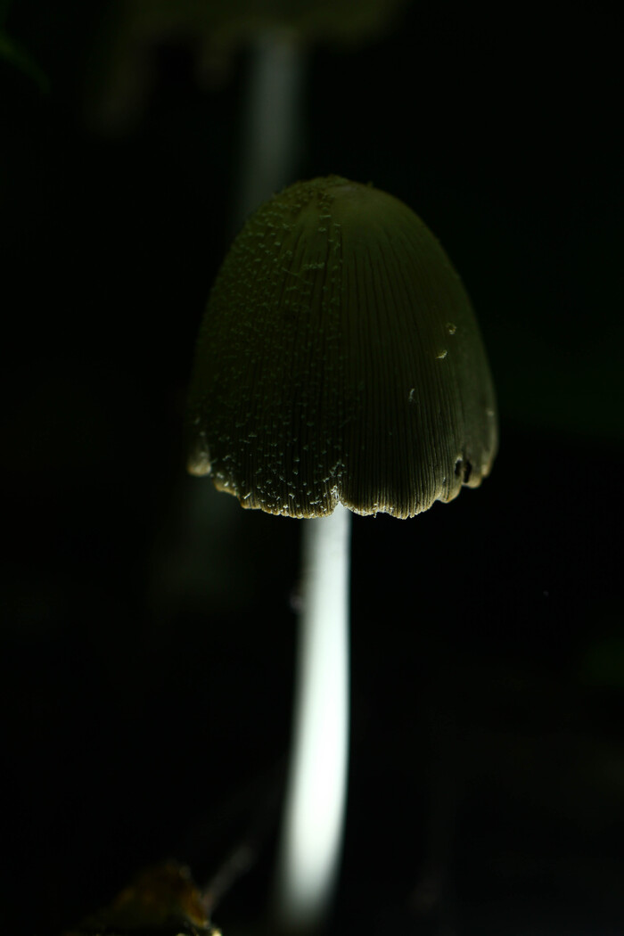  (+ ) , , , , , , , 