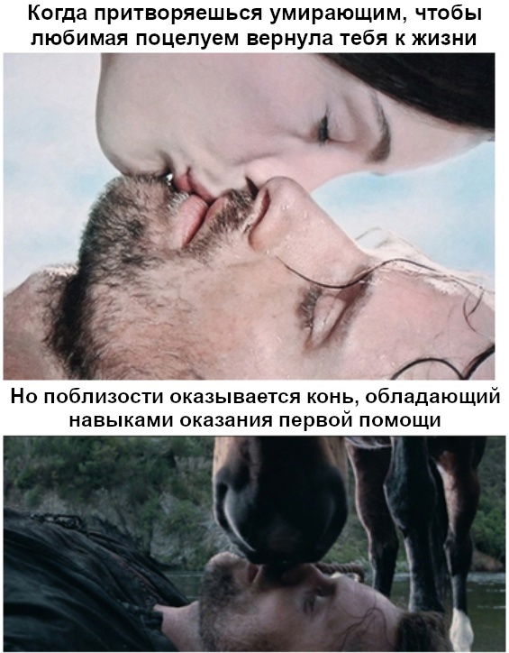    , , ,   ,  ,  ()