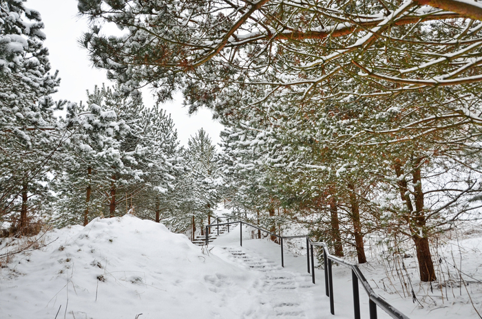 Лестница, ведущая к источнику Параскевы Пятницы.