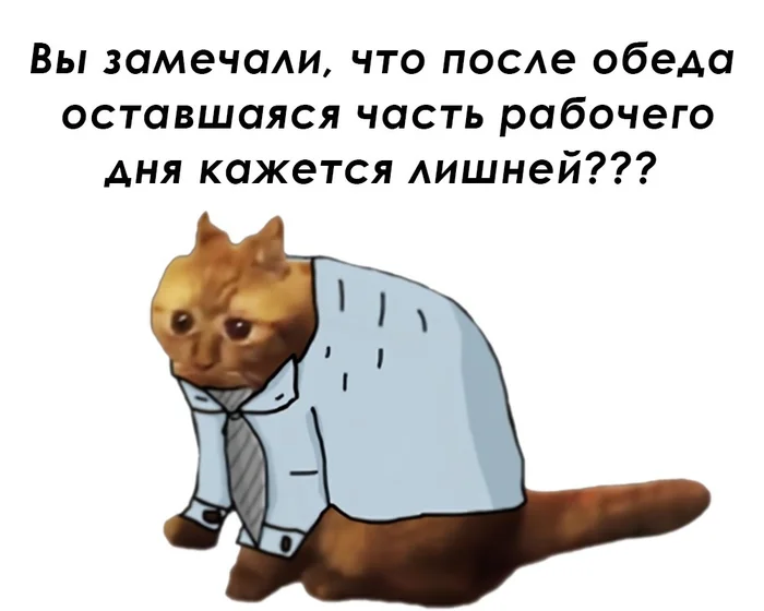 pptbcwpn.webp