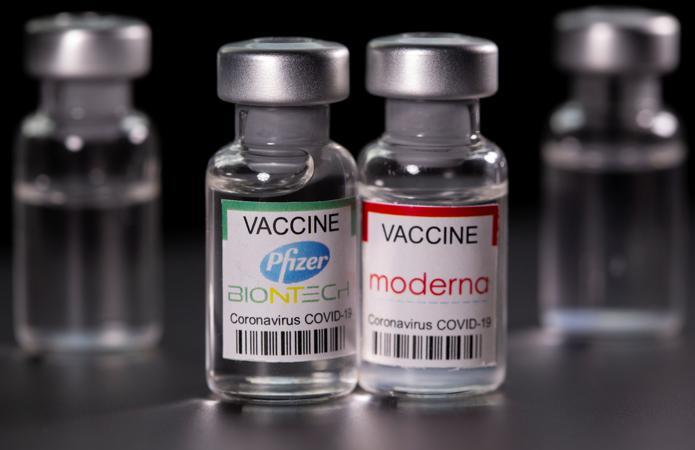    Pfizer  Moderna ,           , , Telegram (),  