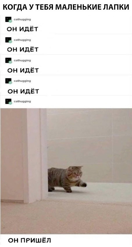    , , , , 