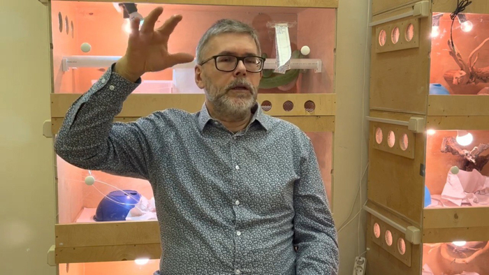 Здесь Сергей Рябов как раз рассказывает о том самом случае, активно жестикулируя пострадавшей рукой.