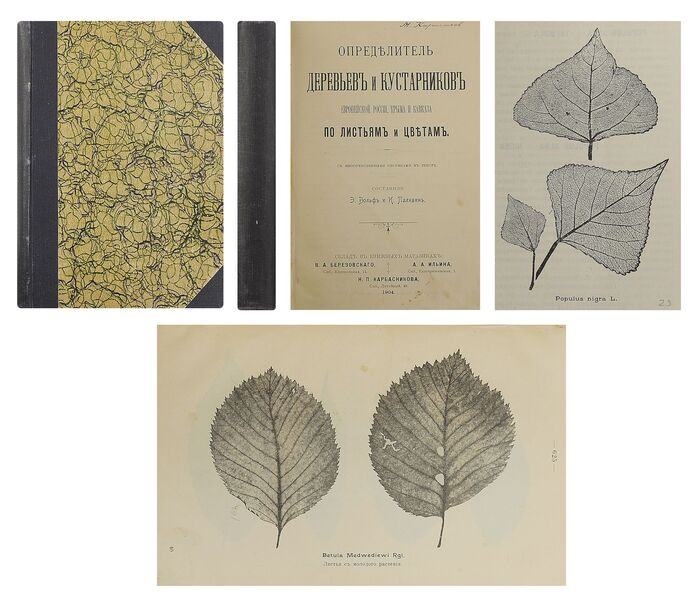 Книга Палибина «Определитель деревьев и кустаников». Фото с сайта <!--noindex--><a href="https://pikabu.ru/story/ivan_palibin_12777624?u=http%3A%2F%2Fwww.auction-imperia.ru&t=www.auction-imperia.ru&h=769d45bc5b482afe5b5468c33ba7c625ec433a3f" title="http://www.auction-imperia.ru" target="_blank" rel="nofollow noopener">www.auction-imperia.ru</a><!--/noindex-->