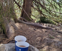 ����������� ������� �� ������� ��������