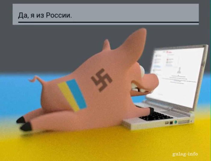     ,  X (Twitter), ,  , Fake News, , , , , ,   , ,   