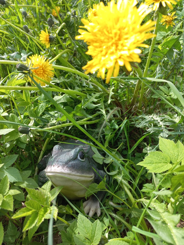   () It Is Wednesday My Dudes, , , , ,   