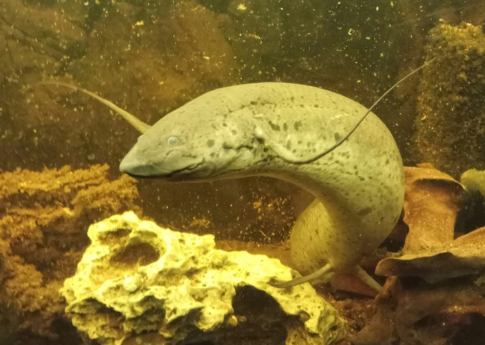 Ну где же ручки, ну где же ваши ручки?