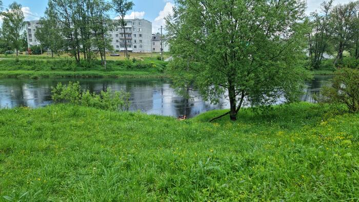     .    ,     15 ,      . ,    -     .