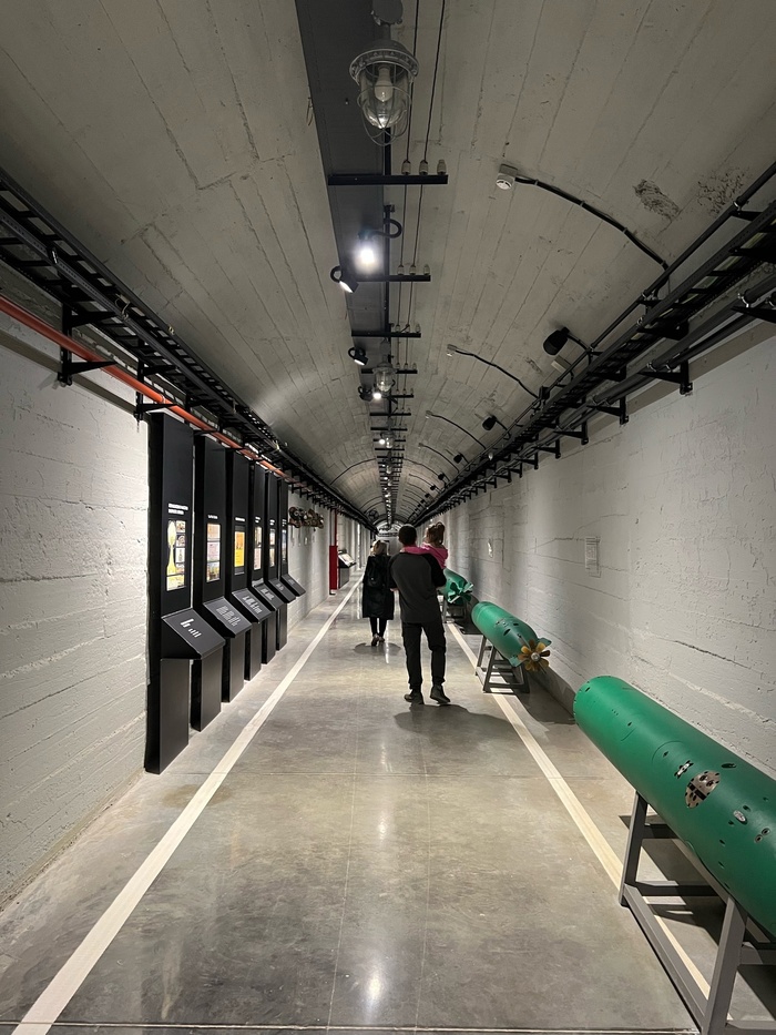 Вот тут поражающие факторы ядерного взрыва.