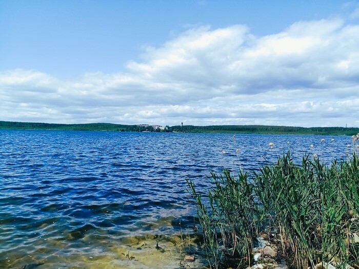 ������� (���������) �����. ����: ���� ���� � ���� ���