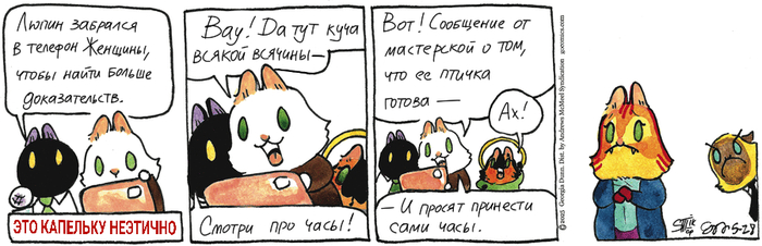 Котейкины Новости от 28.05.2025