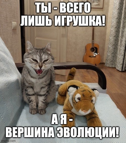 ��� � ������ ����