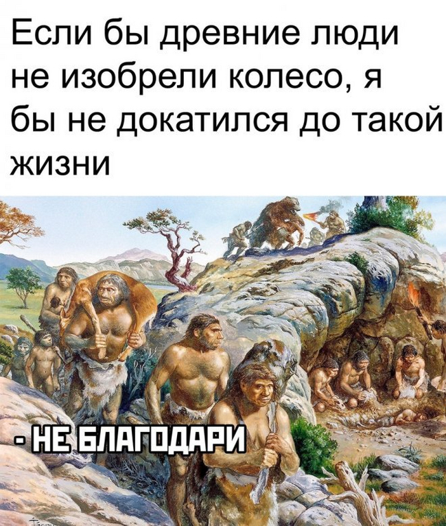 ":  ,   "    3500 .  ..        (), , , , , ,  , 