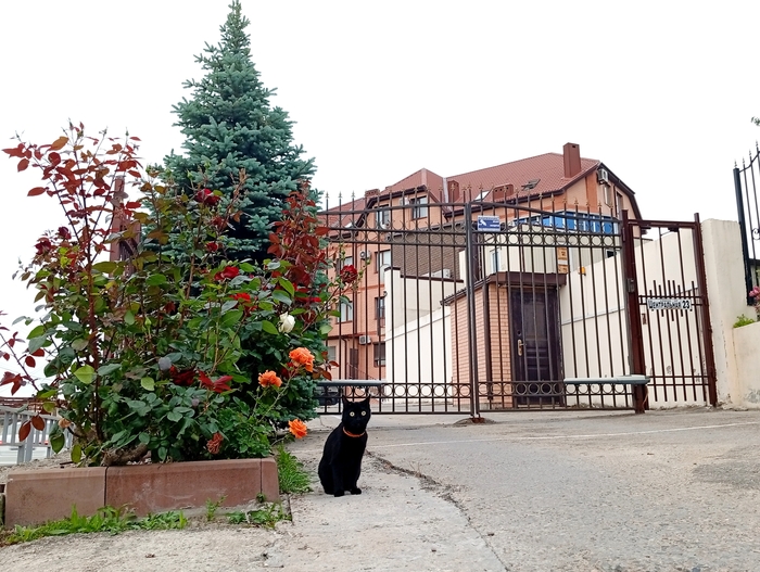 Предъявите пропуск в лето