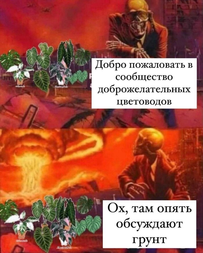   , ,  ,   , , 