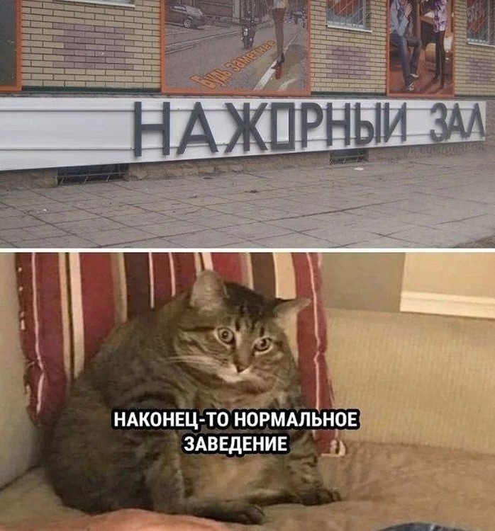     ... ,   ,  , , Photoshop, , 