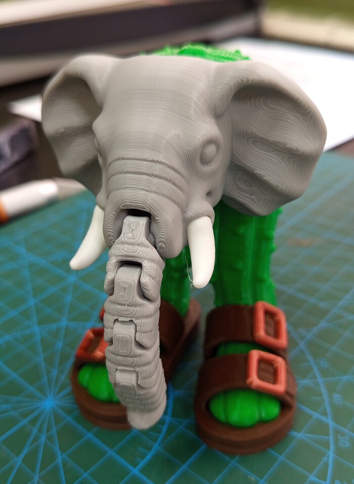 ���� �����