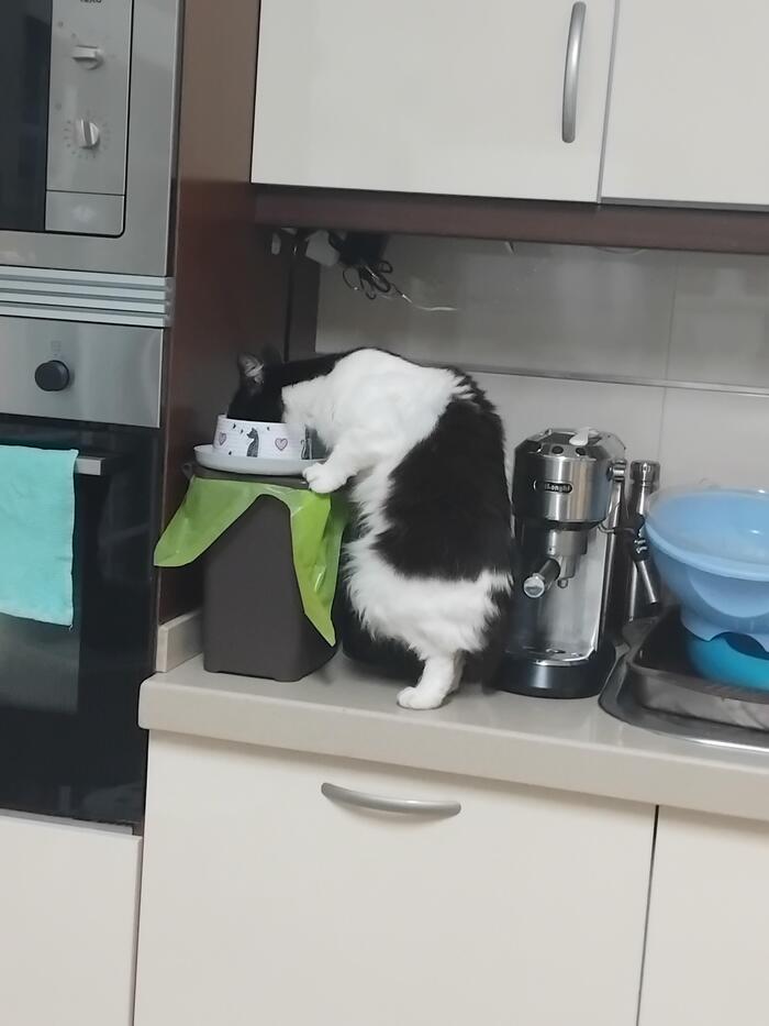    ...  ... , , 