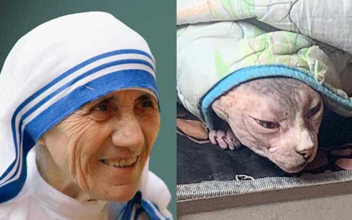 Случайный косплей