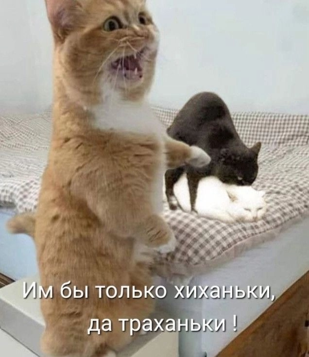   ,   , , , , 