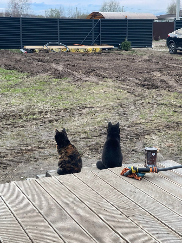 �� �� ���������� �������� �����