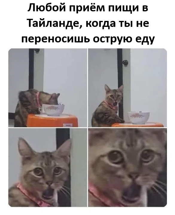  ,    ,   , , ,  